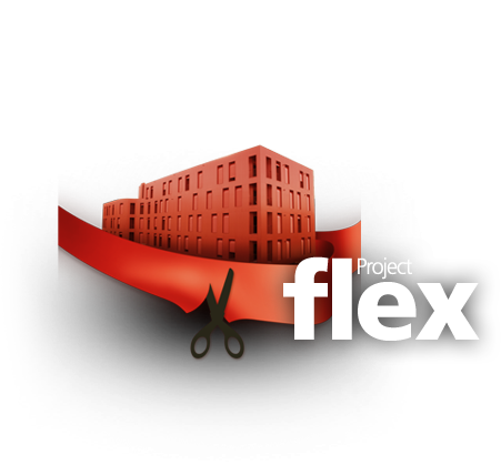 Flex Project